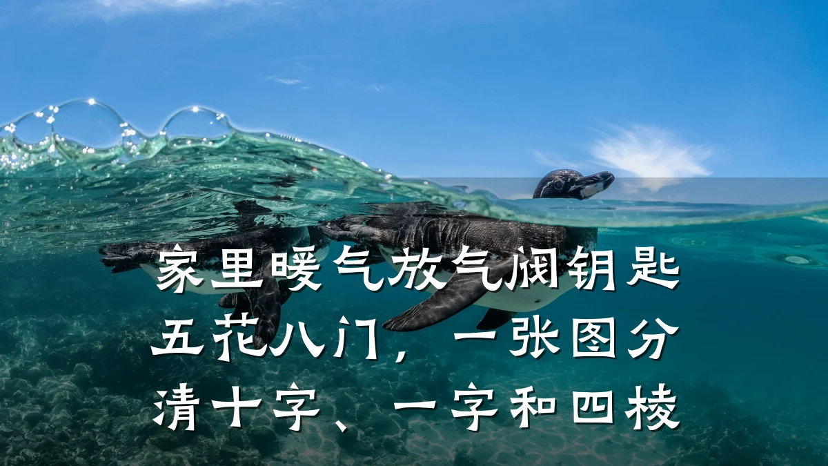 家里暖气放气阀钥匙五花八门，一张图分清十字、一字和四棱