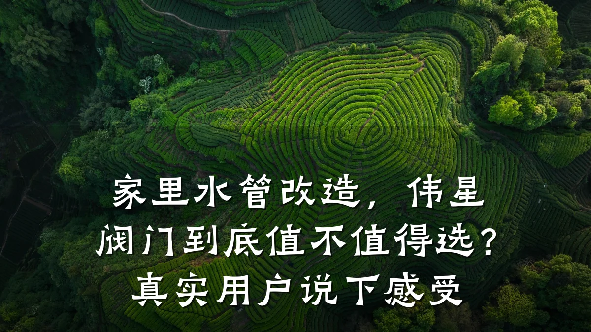 家里水管改造,伟星阀门到底值不值得选?真实用户说下感受