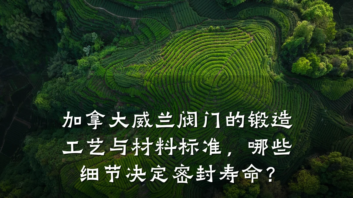 加拿大威兰阀门的锻造工艺与材料标准,哪些细节决定密封寿命?
