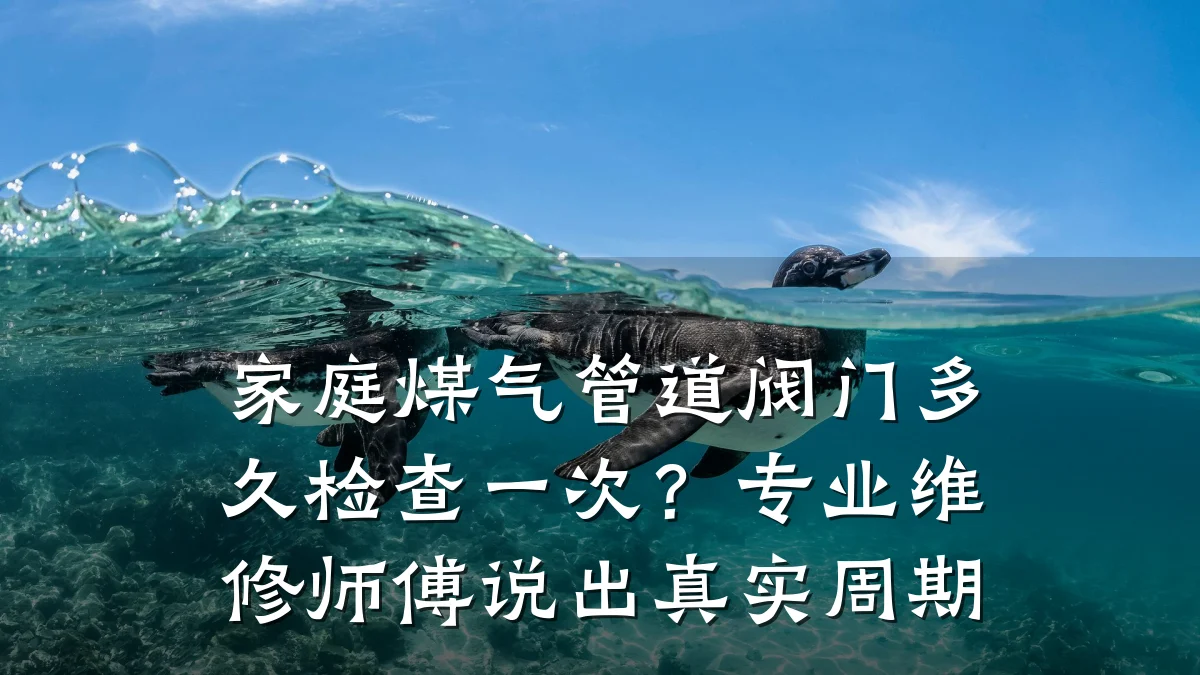 家庭煤气管道阀门多久检查一次?专业维修师傅说出真实周期