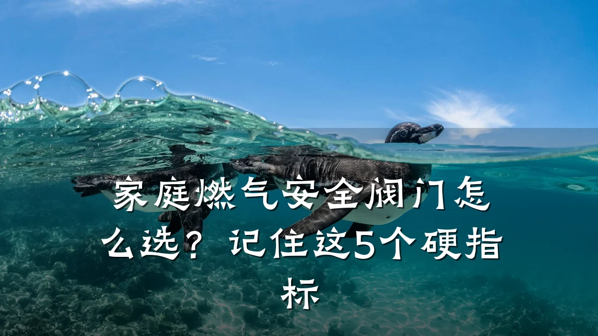 家庭燃气安全阀门怎么选?记住这5个硬指标