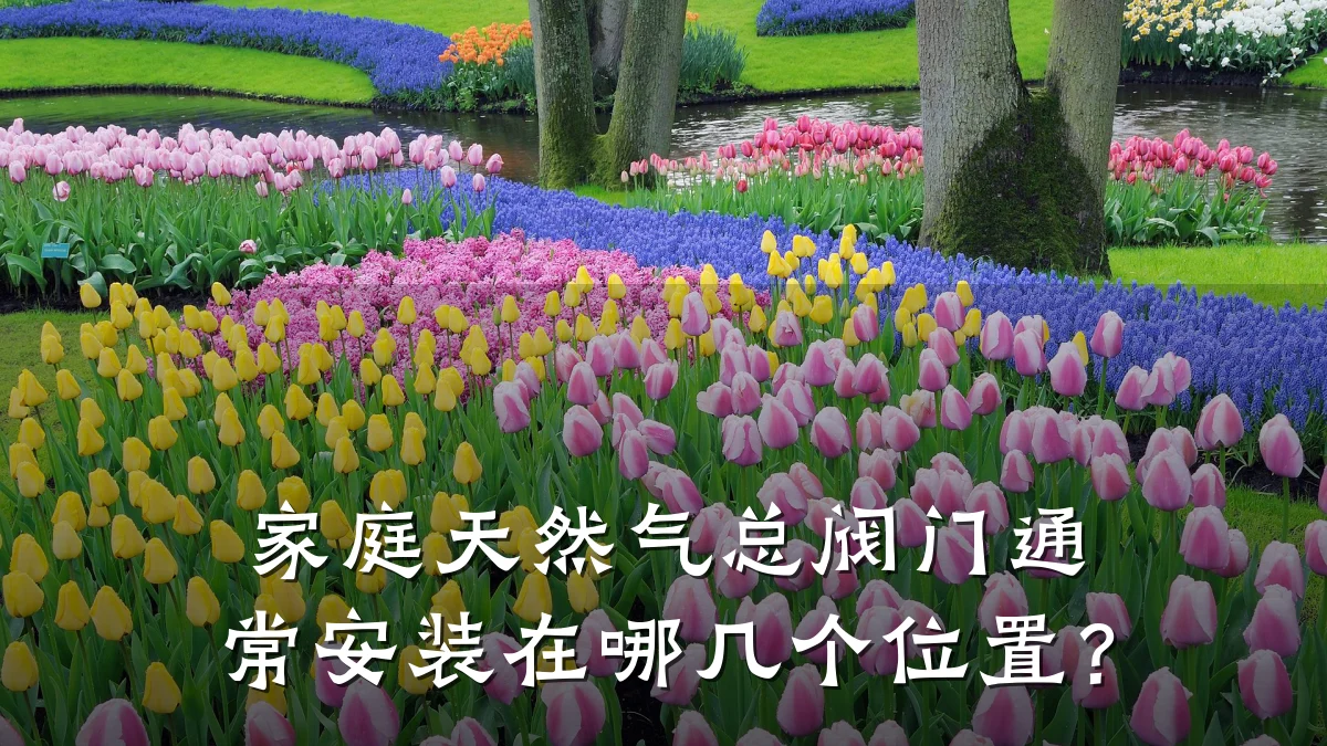 家庭天然气总阀门通常安装在哪几个位置?