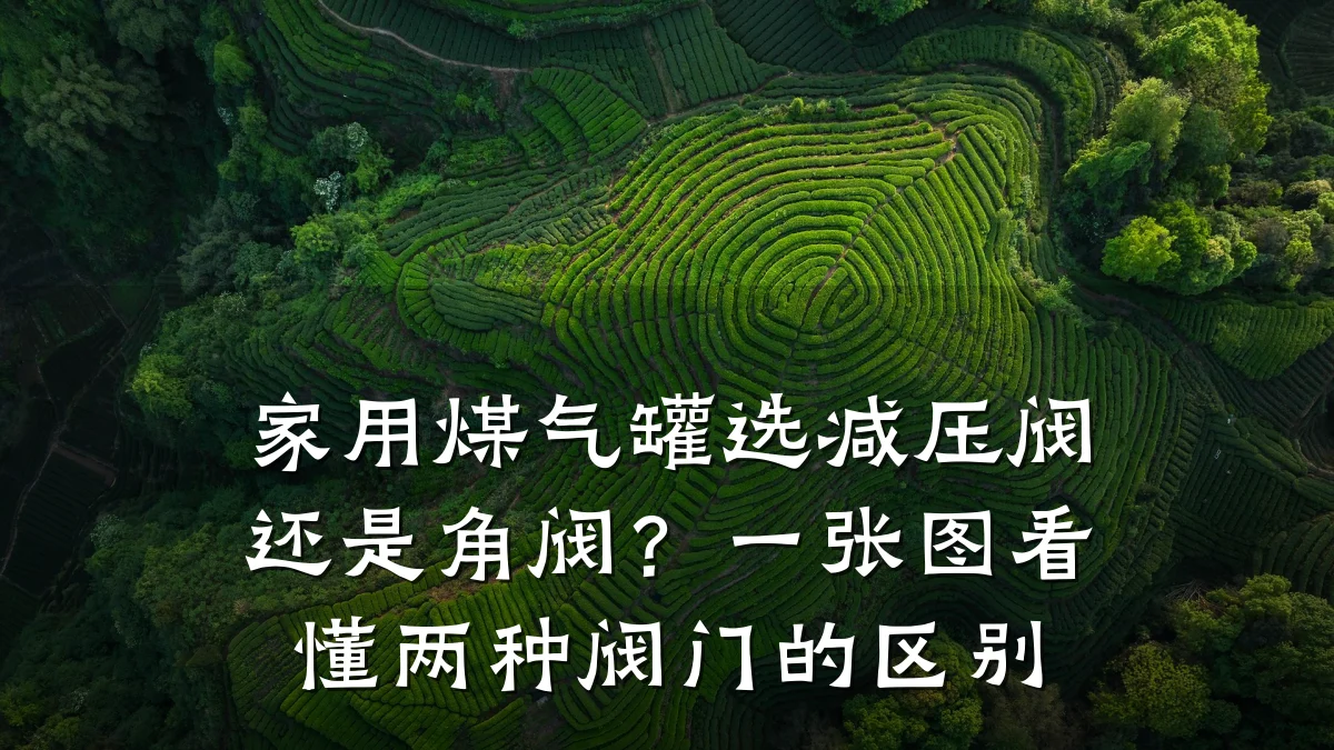 家用煤气罐选减压阀还是角阀?一张图看懂两种阀门的区别