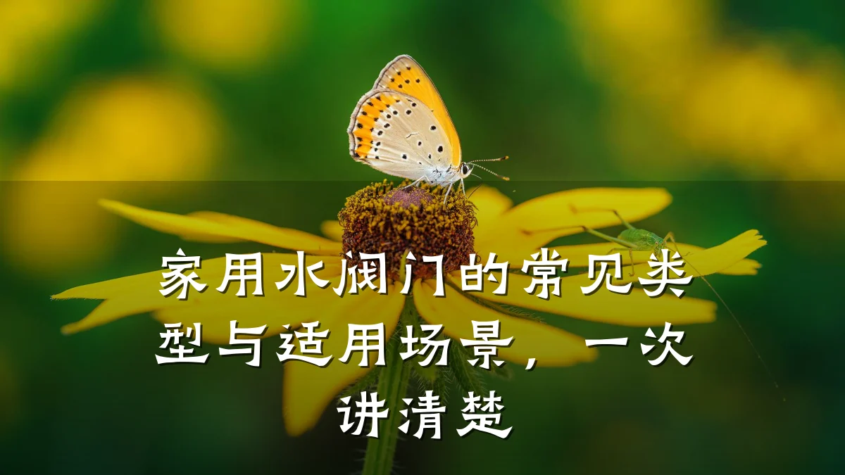 家用水阀门的常见类型与适用场景,一次讲清楚