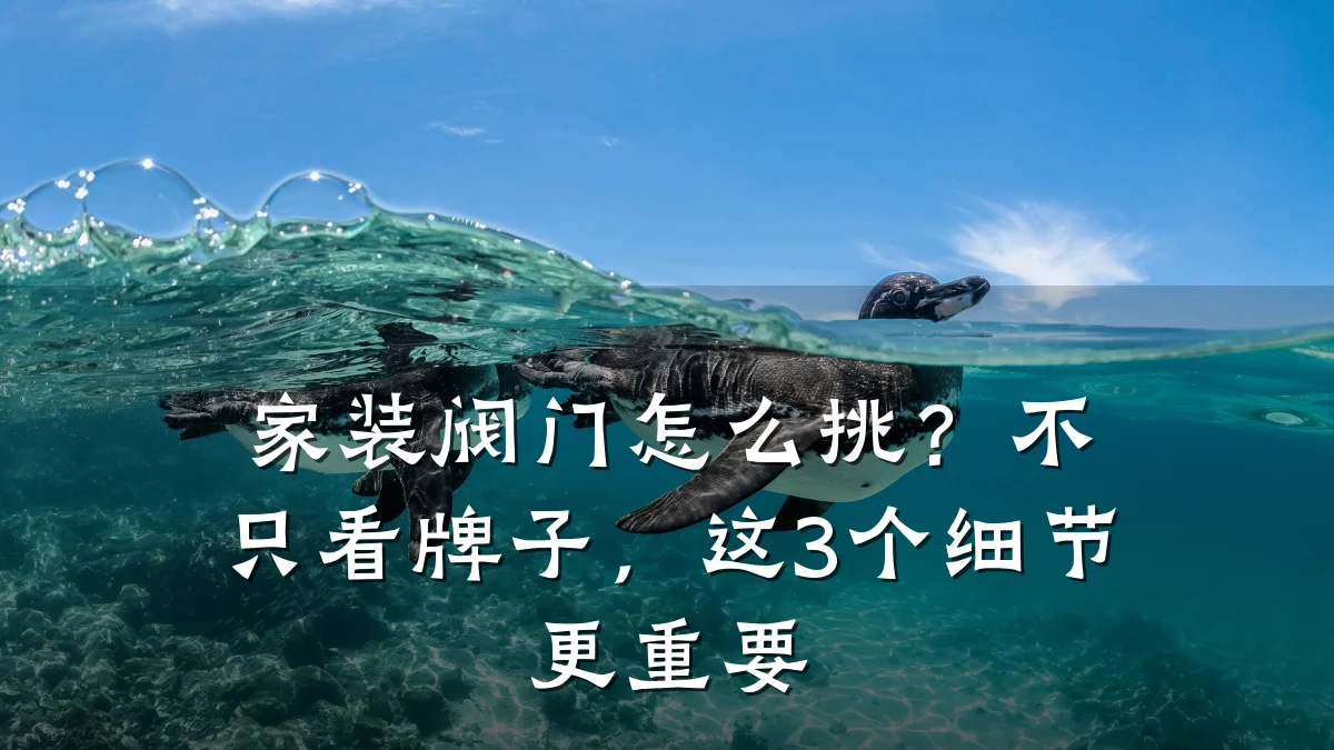 家装阀门怎么挑？不只看牌子，这3个细节更重要