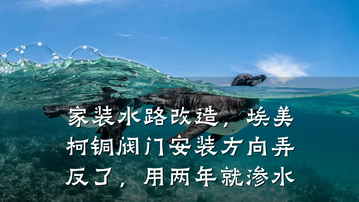 家装水路改造,埃美柯铜阀门安装方向弄反了,用两年就渗水