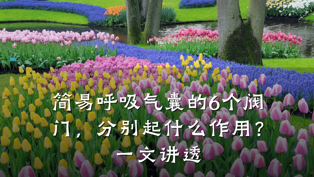 简易呼吸气囊的6个阀门,分别起什么作用?一文讲透