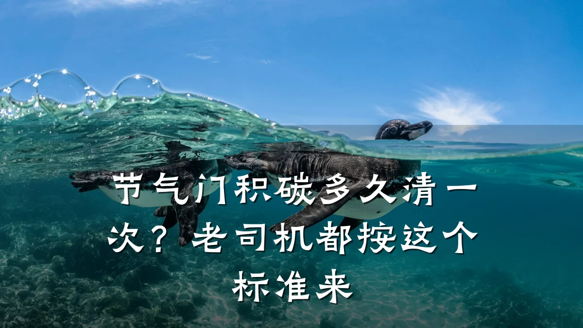 节气门积碳多久清一次?老司机都按这个标准来