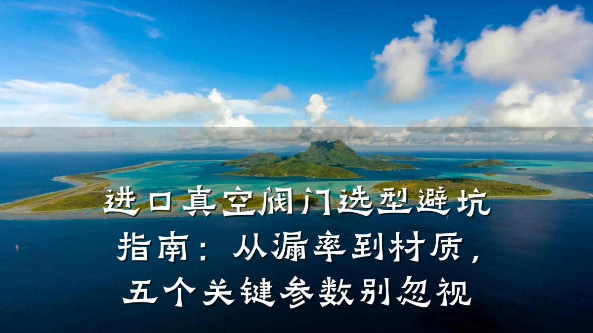 进口真空阀门选型避坑指南：从漏率到材质，五个关键参数别忽视