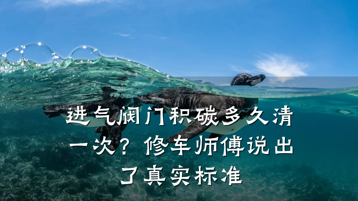 进气阀门积碳多久清一次?修车师傅说出了真实标准