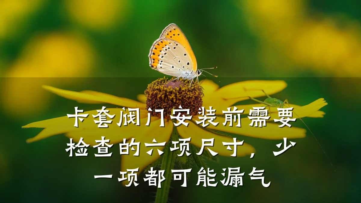 卡套阀门安装前需要检查的六项尺寸,少一项都可能漏气
