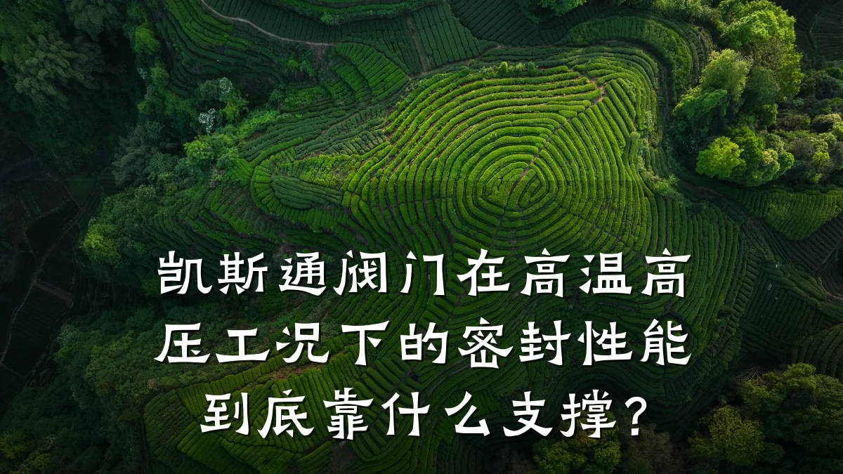 凯斯通阀门在高温高压工况下的密封性能到底靠什么支撑?