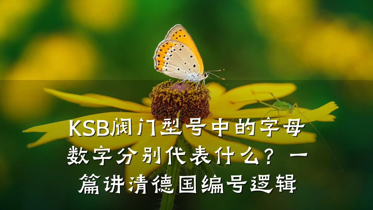KSB阀门型号中的字母数字分别代表什么?一篇讲清德国编号逻辑