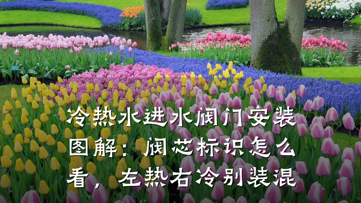 冷热水进水阀门安装图解:阀芯标识怎么看,左热右冷别装混