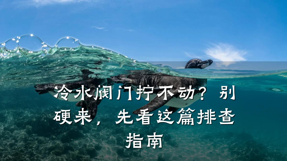 冷水阀门拧不动?别硬来,先看这篇排查指南