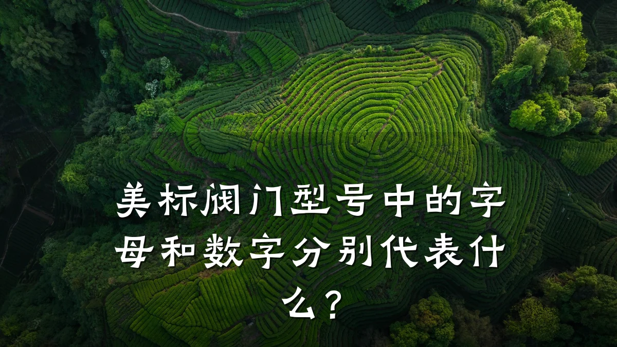 美标阀门型号中的字母和数字分别代表什么?