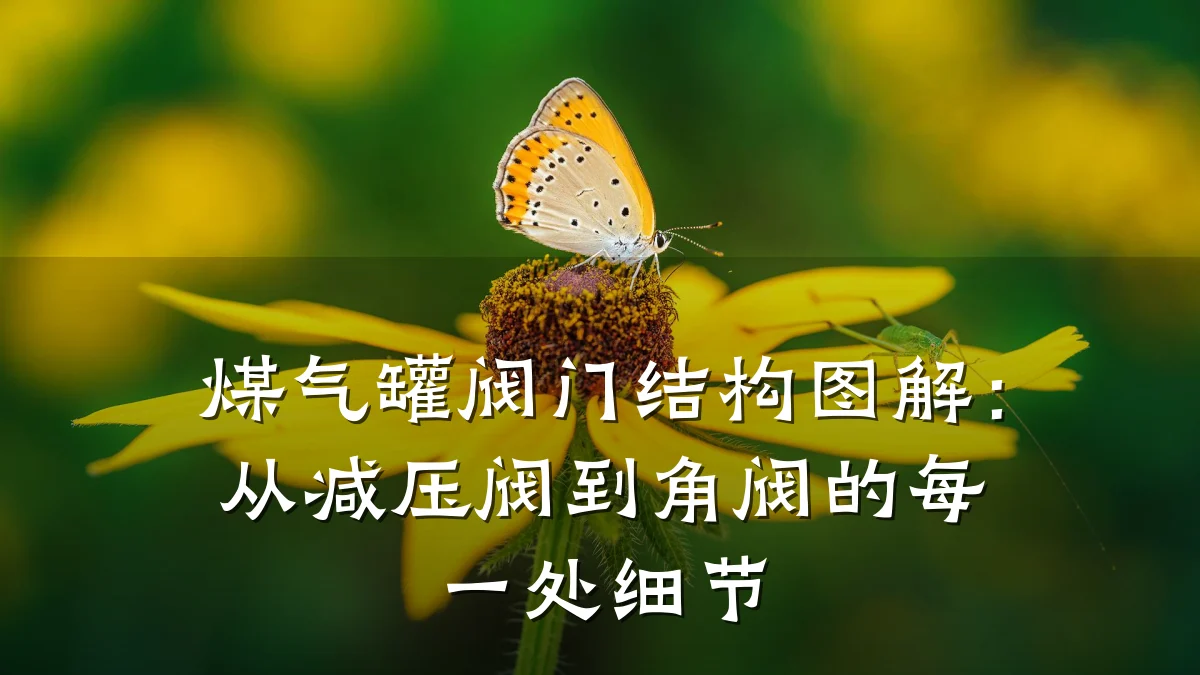 煤气罐阀门结构图解:从减压阀到角阀的每一处细节