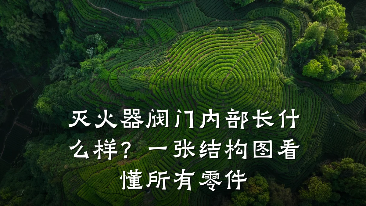 灭火器阀门内部长什么样？一张结构图看懂所有零件