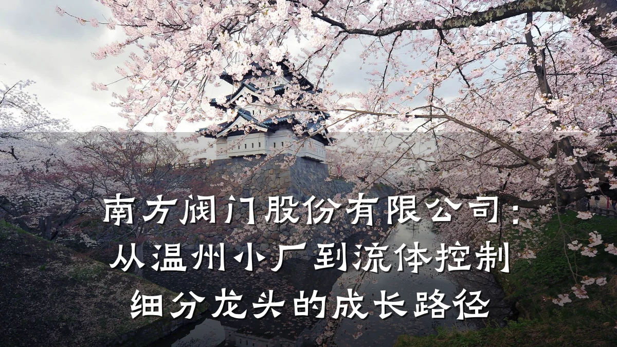 南方阀门股份有限公司:从温州小厂到流体控制细分龙头的成长路径