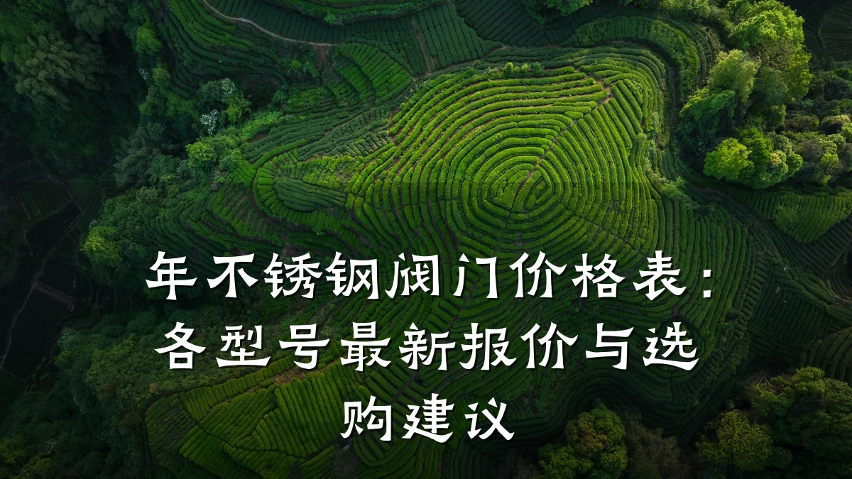 年不锈钢阀门价格表：各型号最新报价与选购建议