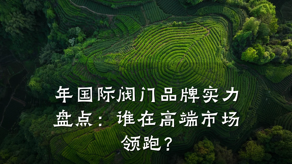 年国际阀门品牌实力盘点:谁在高端市场领跑?