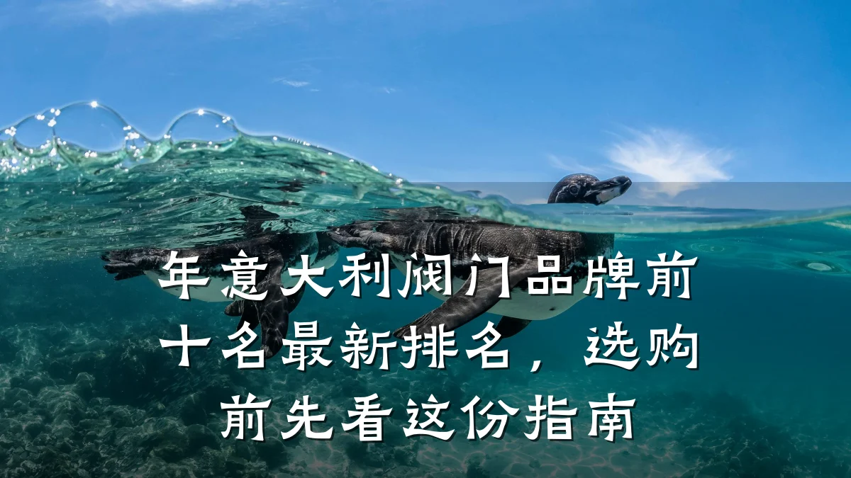 年意大利阀门品牌前十名最新排名,选购前先看这份指南