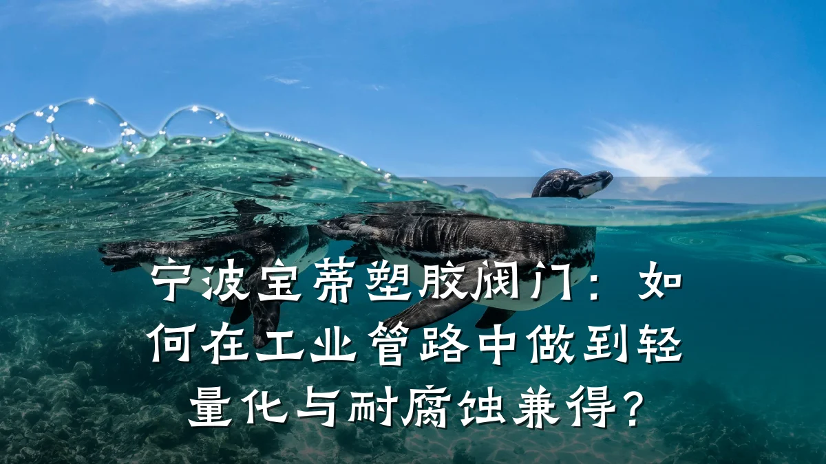 宁波宝蒂塑胶阀门:如何在工业管路中做到轻量化与耐腐蚀兼得?