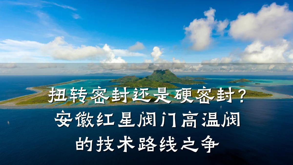 扭转密封还是硬密封?安徽红星阀门高温阀的技术路线之争