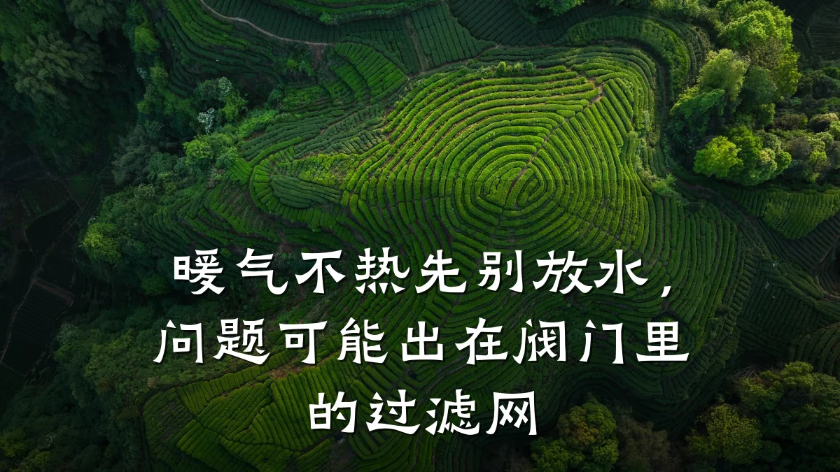 暖气不热先别放水,问题可能出在阀门里的过滤网