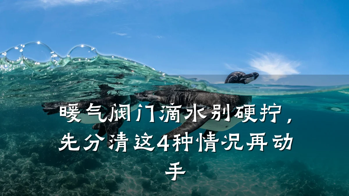 暖气阀门滴水别硬拧，先分清这4种情况再动手