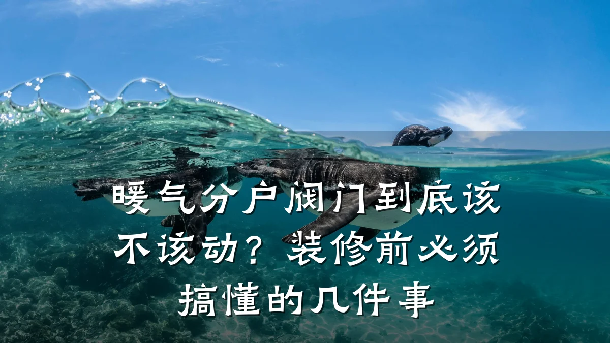 暖气分户阀门到底该不该动?装修前必须搞懂的几件事