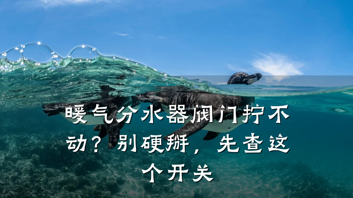 暖气分水器阀门拧不动?别硬掰,先查这个开关