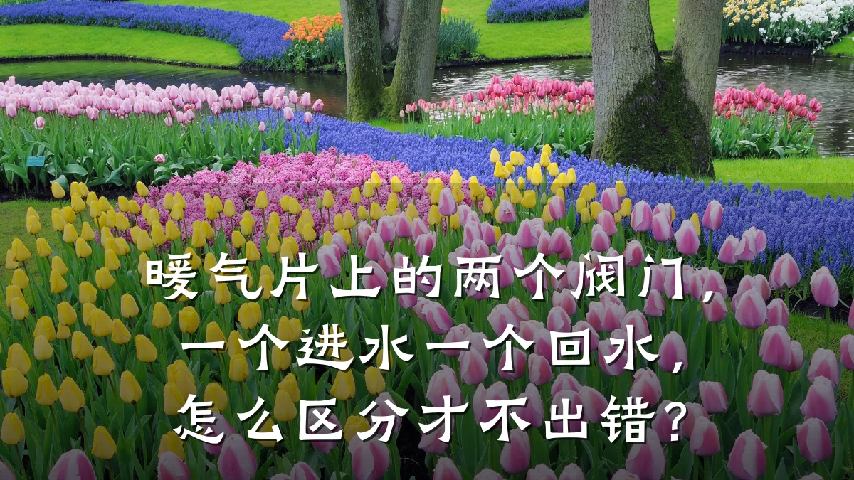 暖气片上的两个阀门，一个进水一个回水，怎么区分才不出错？