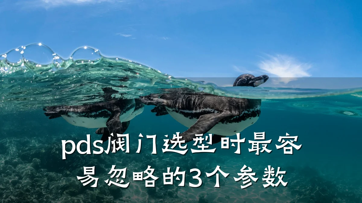 pds阀门选型时最容易忽略的3个参数