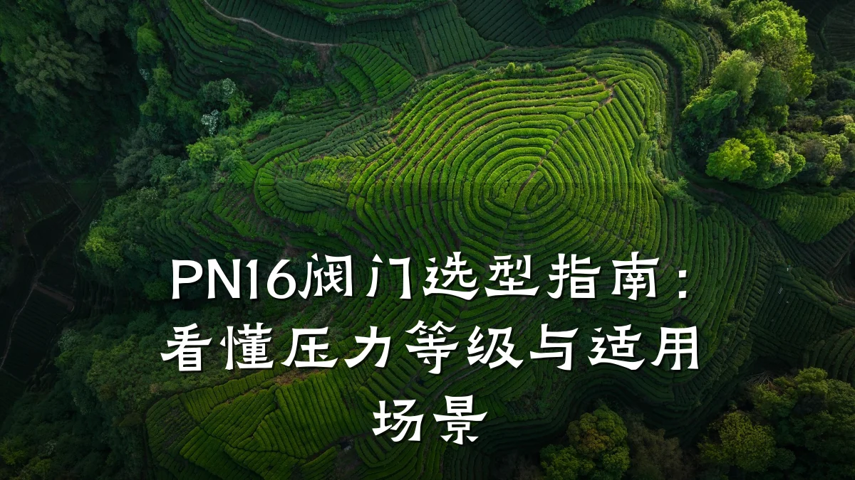 PN16阀门选型指南:看懂压力等级与适用场景