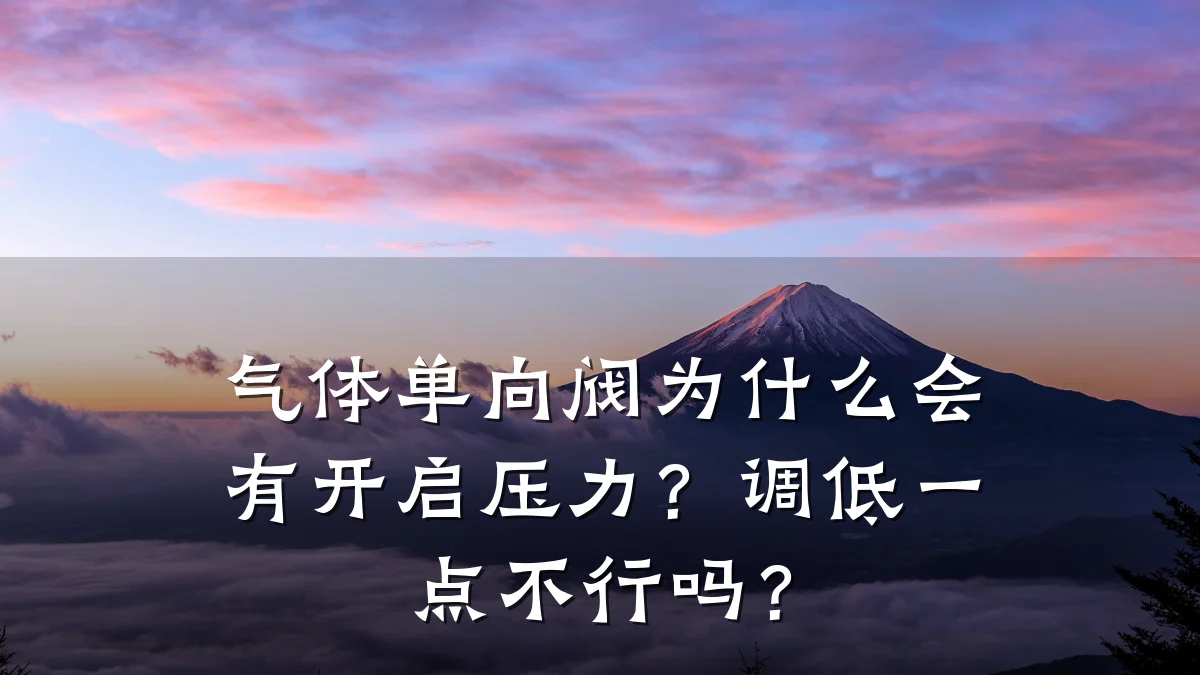 气体单向阀为什么会有开启压力?调低一点不行吗?