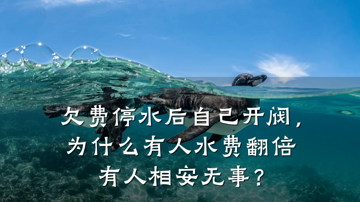 欠费停水后自己开阀,为什么有人水费翻倍有人相安无事?