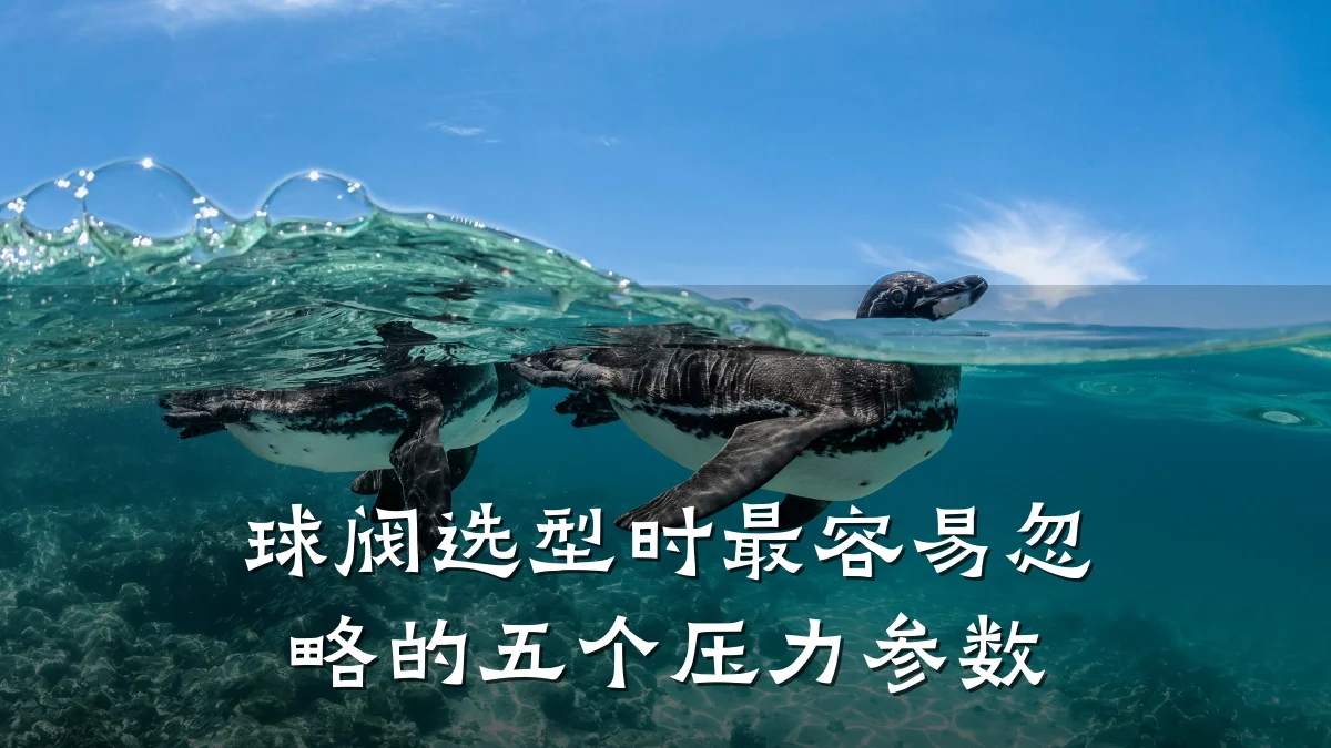 球阀选型时最容易忽略的五个压力参数