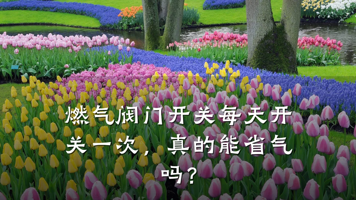 燃气阀门开关每天开关一次,真的能省气吗?