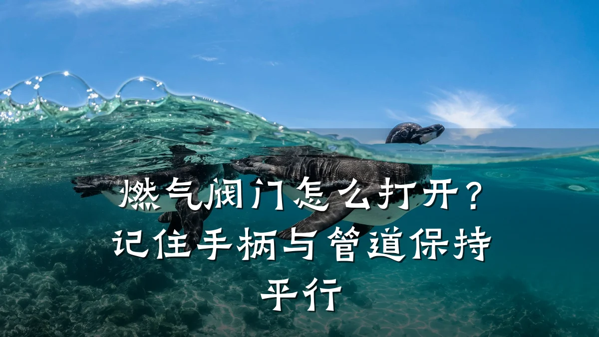 燃气阀门怎么打开?记住手柄与管道保持平行