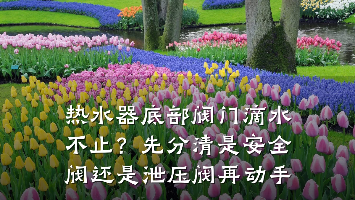 热水器底部阀门滴水不止?先分清是安全阀还是泄压阀再动手