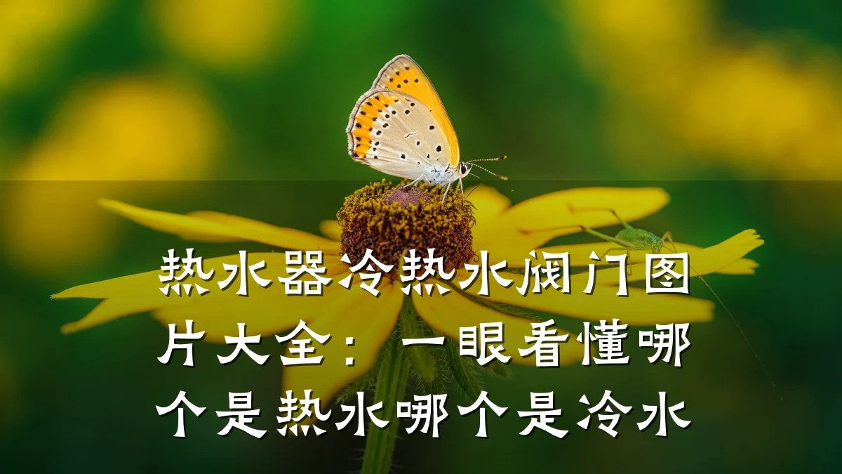 热水器冷热水阀门图片大全:一眼看懂哪个是热水哪个是冷水