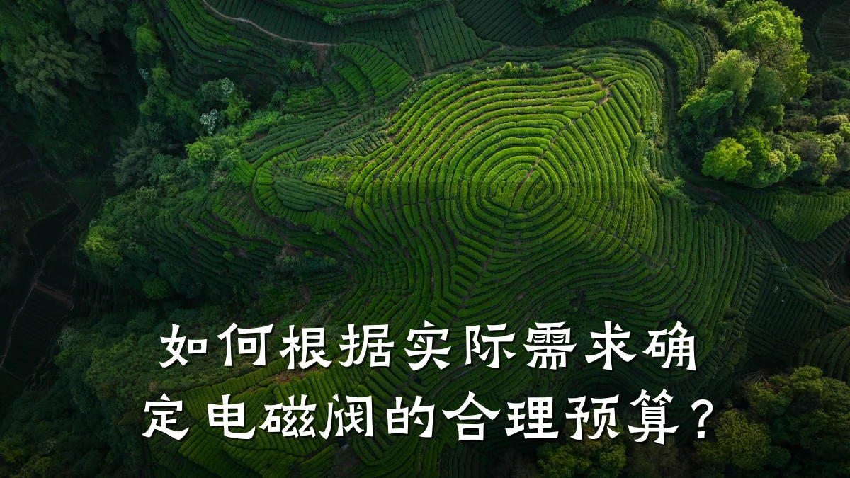 如何根据实际需求确定电磁阀的合理预算?