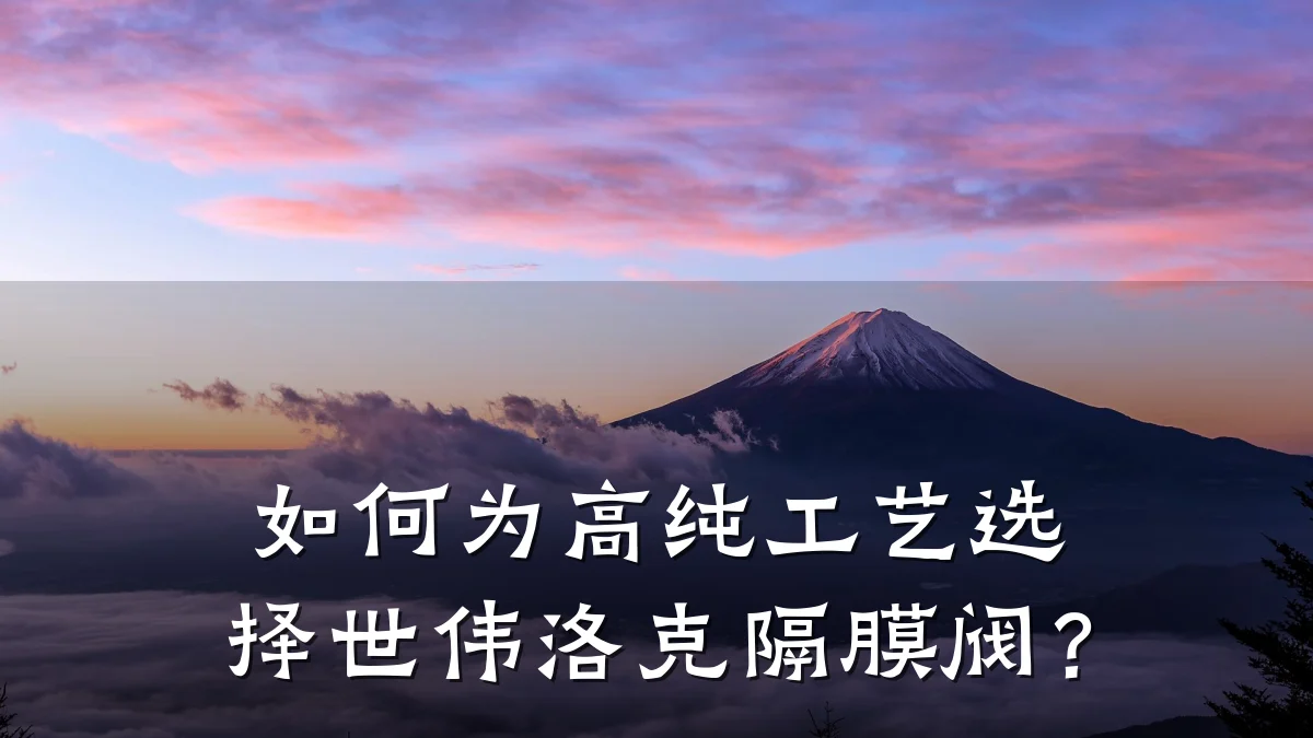 如何为高纯工艺选择世伟洛克隔膜阀?