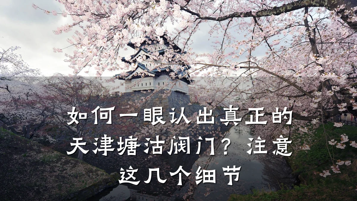 如何一眼认出真正的天津塘沽阀门?注意这几个细节