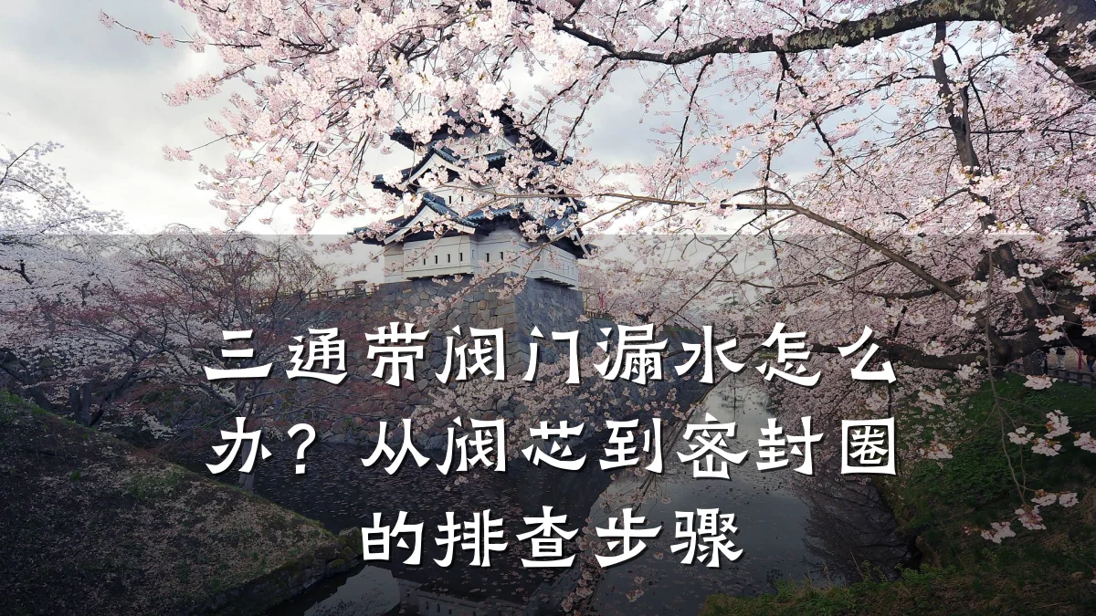 三通带阀门漏水怎么办?从阀芯到密封圈的排查步骤