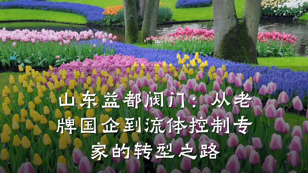 山东益都阀门:从老牌国企到流体控制专家的转型之路