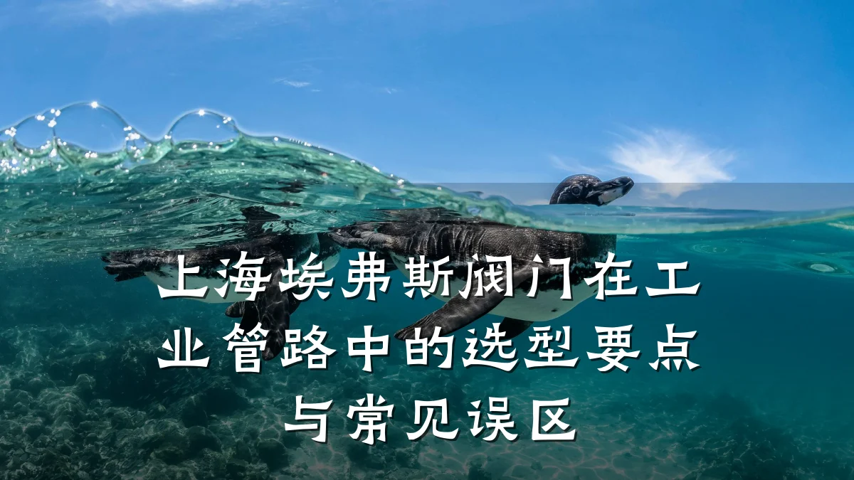 上海埃弗斯阀门在工业管路中的选型要点与常见误区
