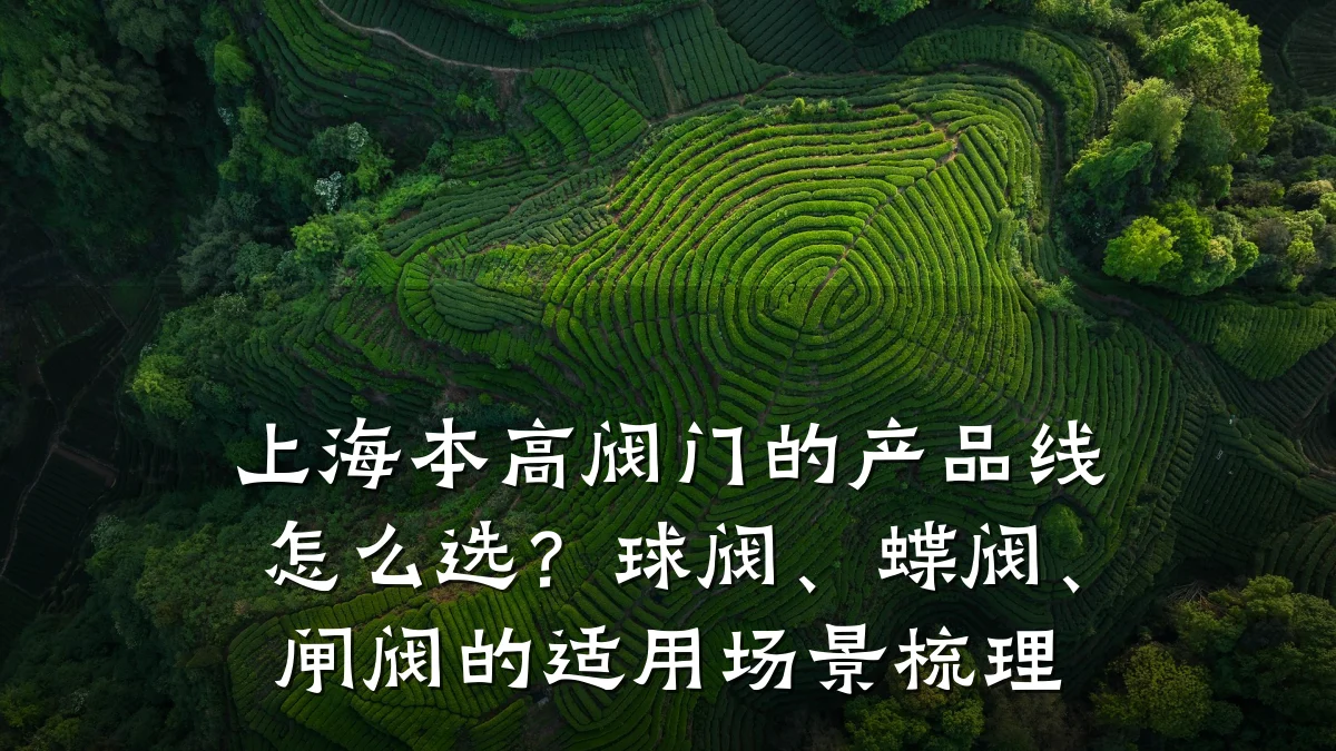 上海本高阀门的产品线怎么选?球阀、蝶阀、闸阀的适用场景梳理