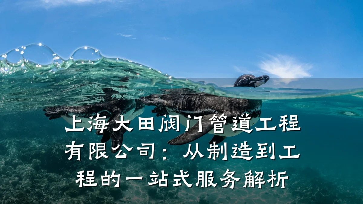 上海大田阀门管道工程有限公司:从制造到工程的一站式服务解析